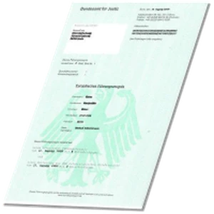 Ihr Online-Wegweiser zu Ihrem Führungszeugnis